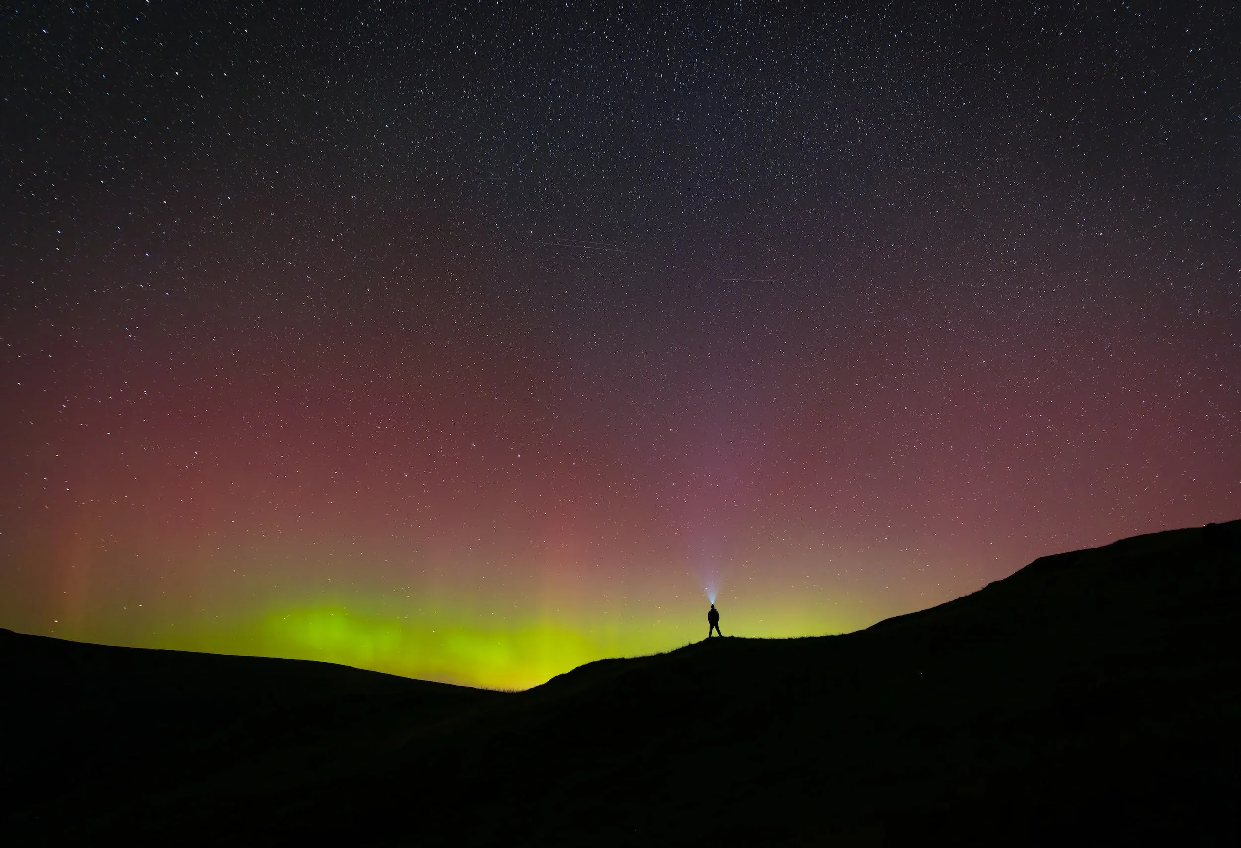 Day Fourteen: 3 Reasons You Face Temptations and the Key to Overcoming Them 