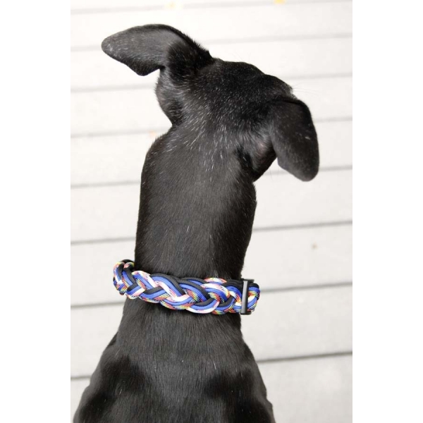 Paracord Martingale Collars