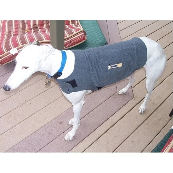 blue heeler puppies born white