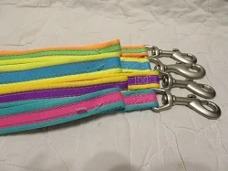 Neon Leashes.JPG