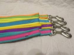 6' Neon Leashes
