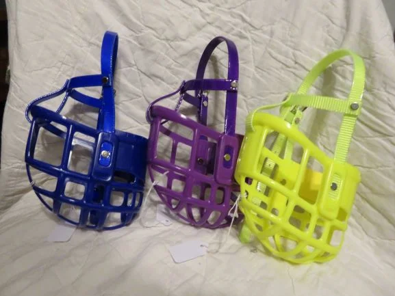 greyhound muzzle