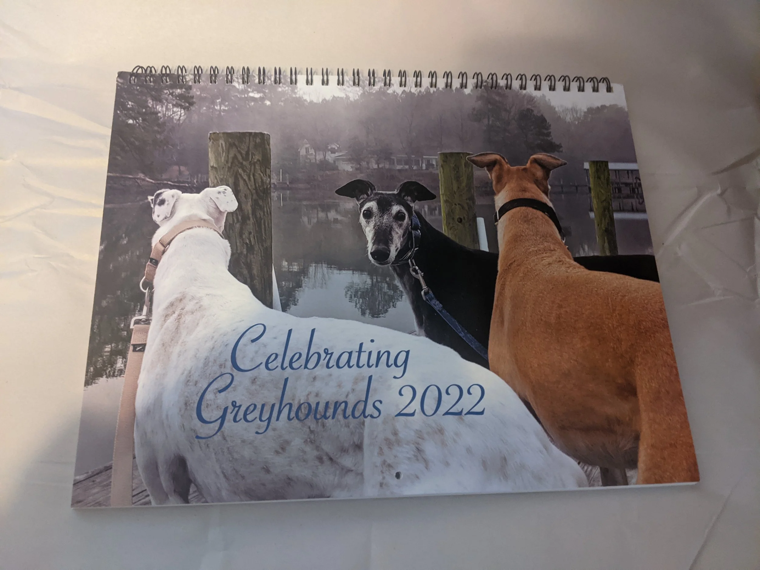 CGA Store โ Colorado Greyhound Adoption