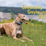 Celebrating Greyhounds 2026 Wall Calendar