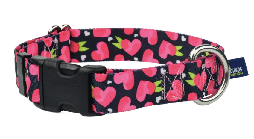 2Hounds Fruity Hearts 1" Buckle Collar