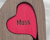 Pasted Graphic 11.png