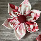 Pasted Graphic 5.png