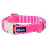 Velvet Essential Buckle Collar by 2Hounds