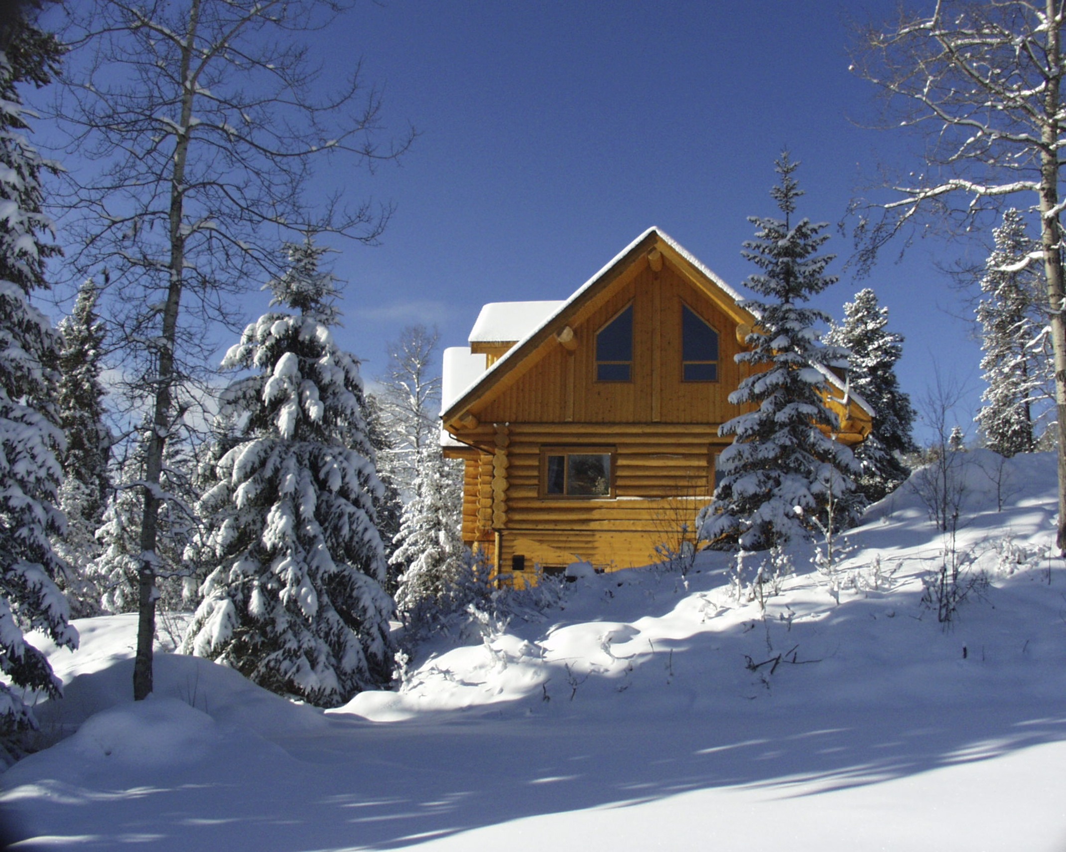 U.S. Log & Timber - Custom Log Home