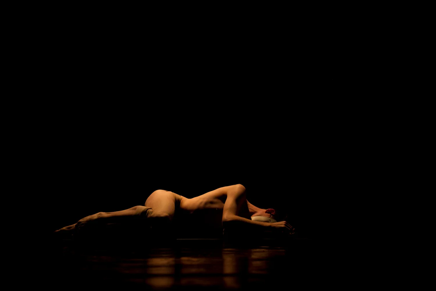 From the Realm of the Shadow - 2013