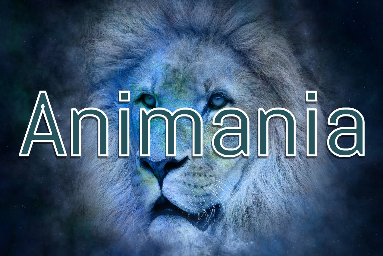 Animania animal mind reading magic pocket mentalism