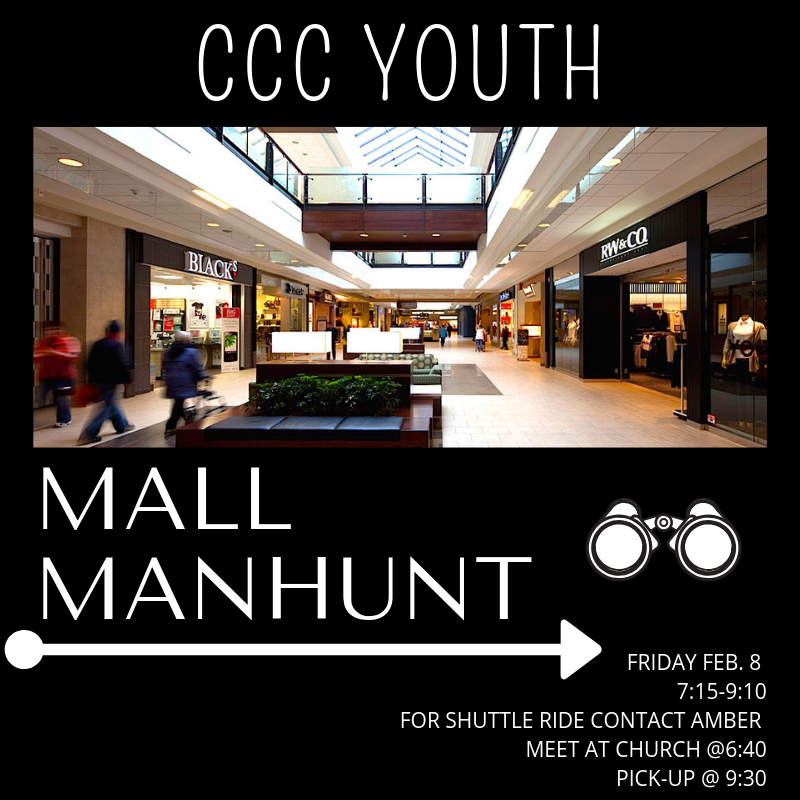 MALL MANHUNT