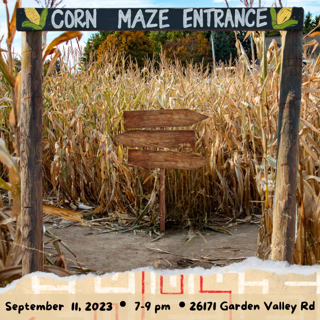 Corn Maze