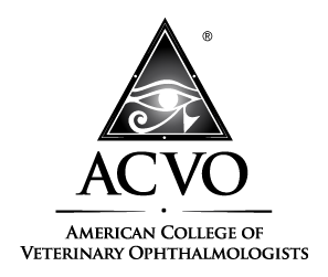 ACVO_Logo_Medium.png
