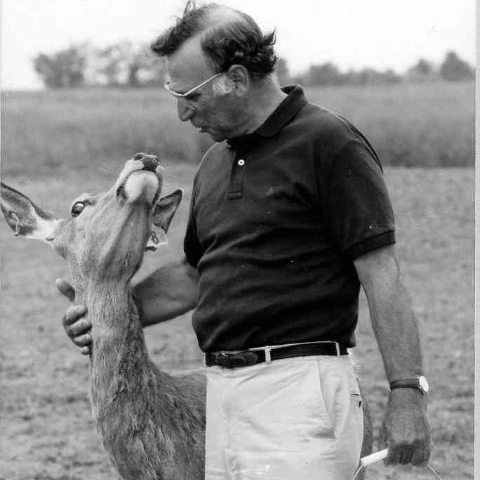 Vainisi with deer.jpg