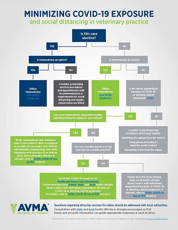 COVID-19 Minimize Exposure Flowchart