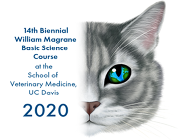 Important BSC Change Announcement for 2021/2022