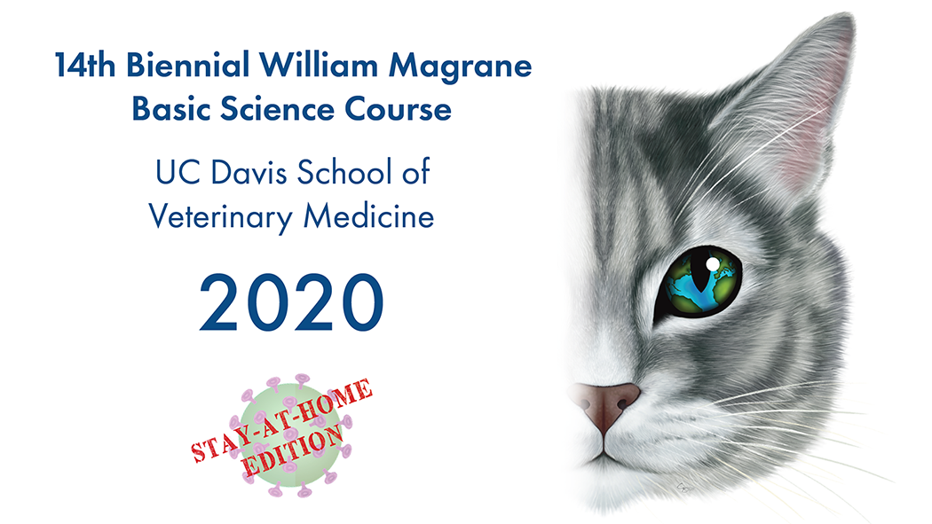 The Basic Science Course is going online!