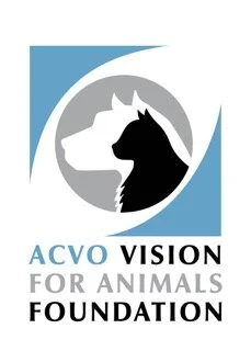 Calling All Researchers! ACVO VAF $50,000 Grant Opportunity