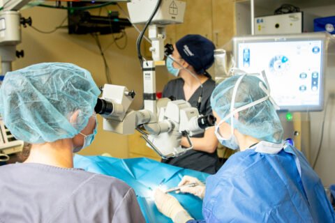 Great Horned Owl Cataract Surgery by Drs. Lynsey Wagner &amp; Nicholas Millichamp