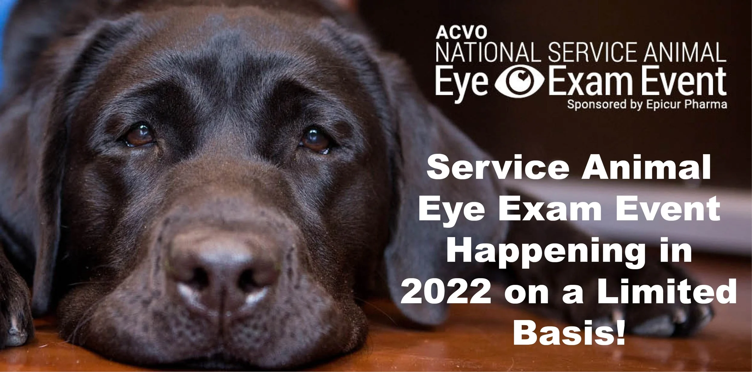 2022 ACVO/Epicur National Service Animal Eye Exam Event Happening in 2022 on a Limited Basis!