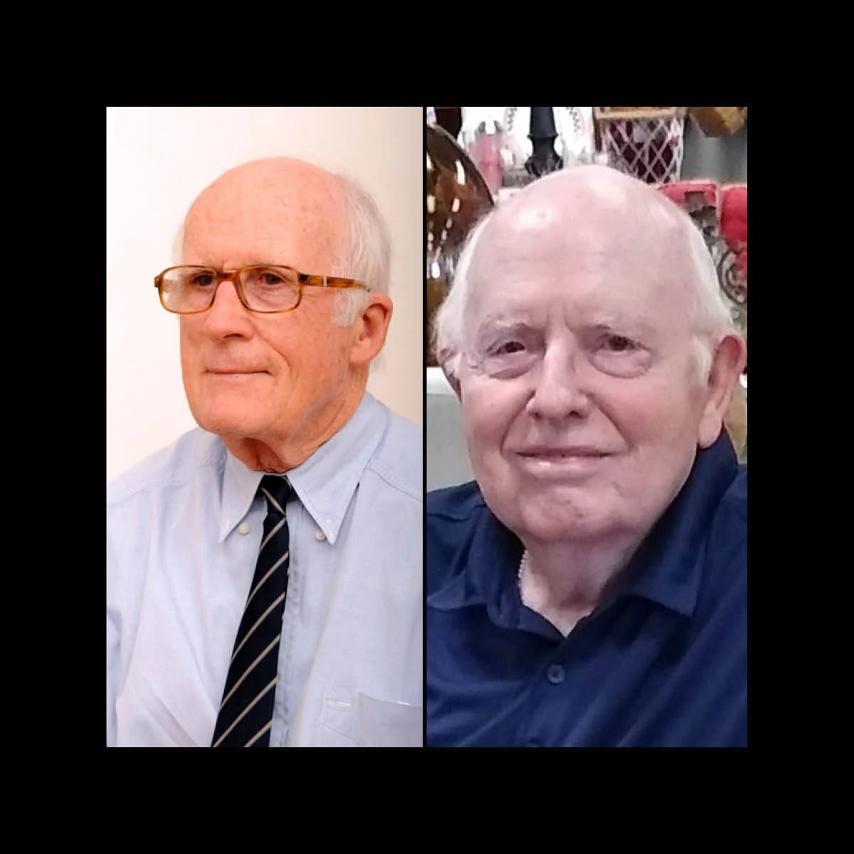 In Memoriam ACVO Diplomates