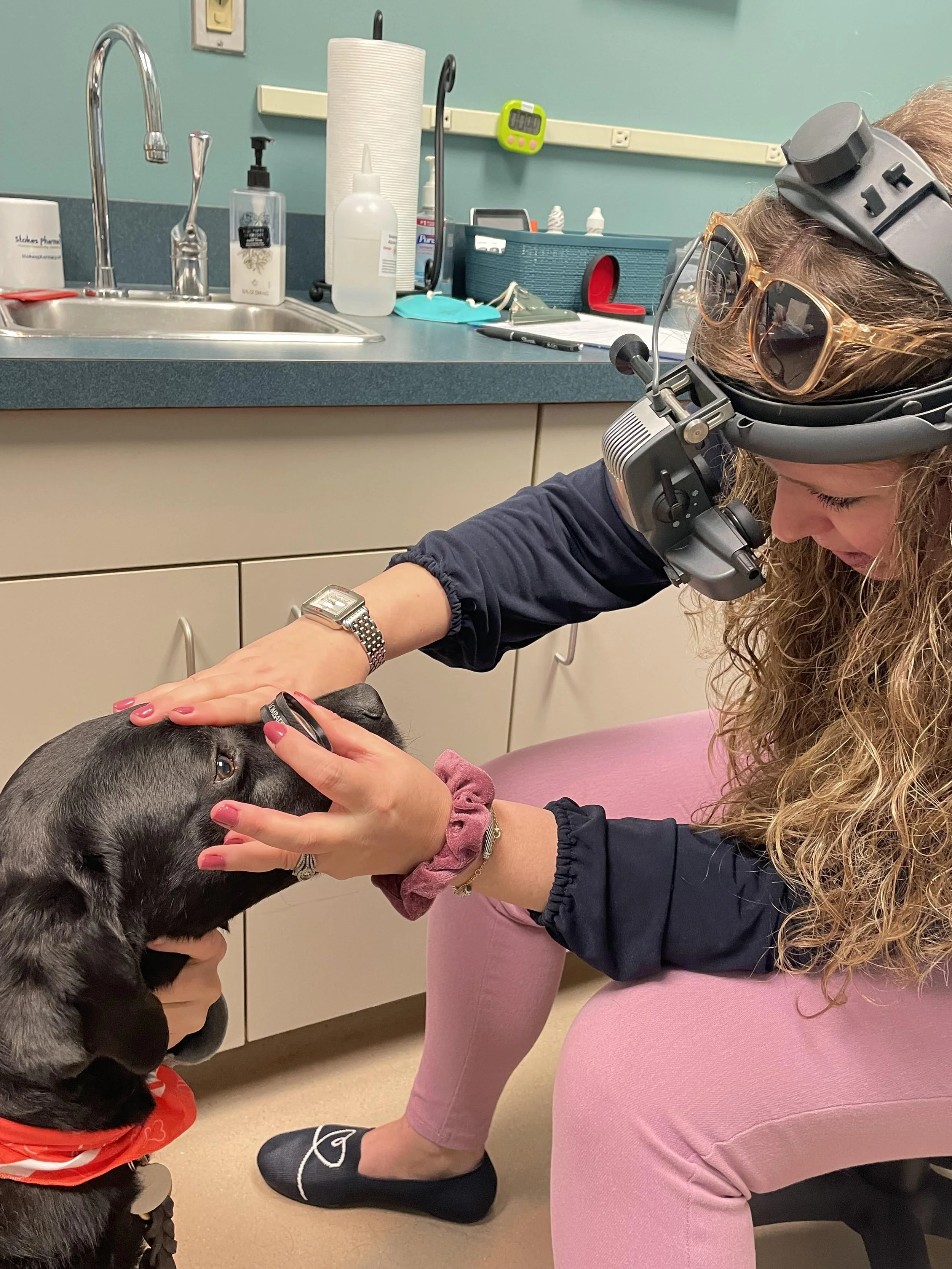 Maintenance of Certification (MOC), why does it matter?