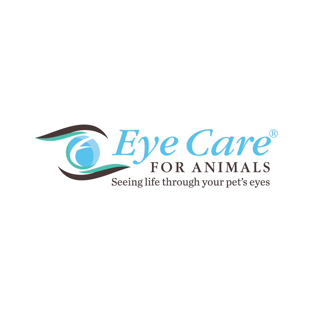 Ophthalmology Residency Positions, Eye Care for Animals Chicago, Tampa, &amp; Wheeling
