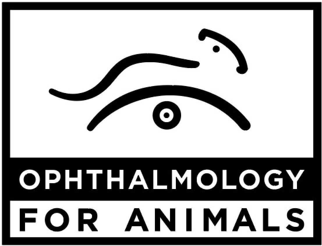 Ophthalmology Specialty Internship, Ophthalmology for Animals, Aptos, CA