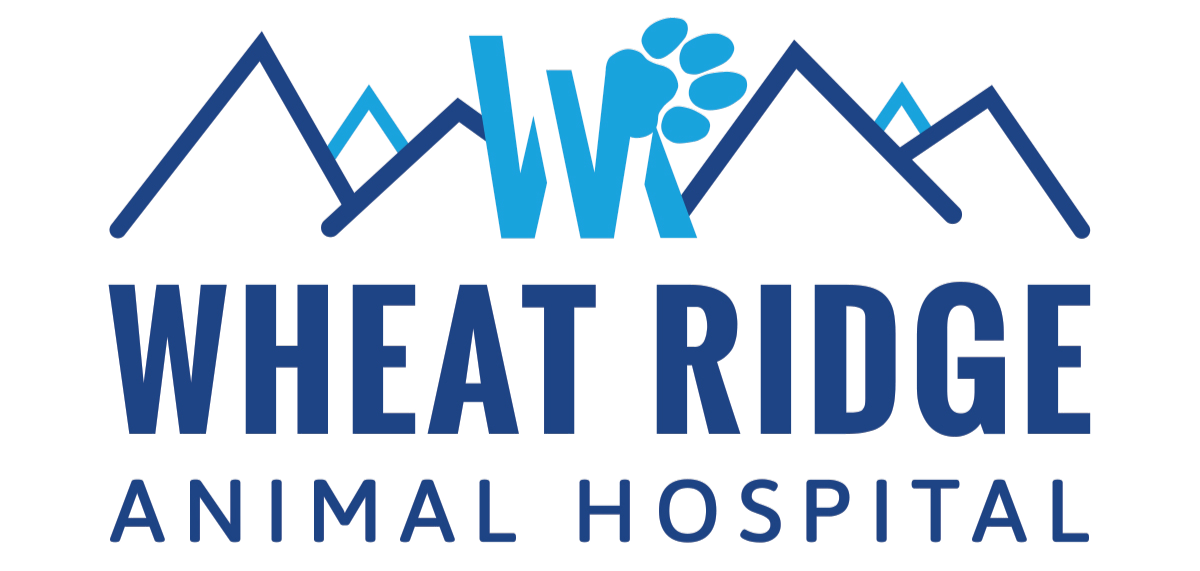 Board Certified or Residency Trained Ophthalmologist, Wheat Ridge Animal Hospital, Hilltop, Denver, CO