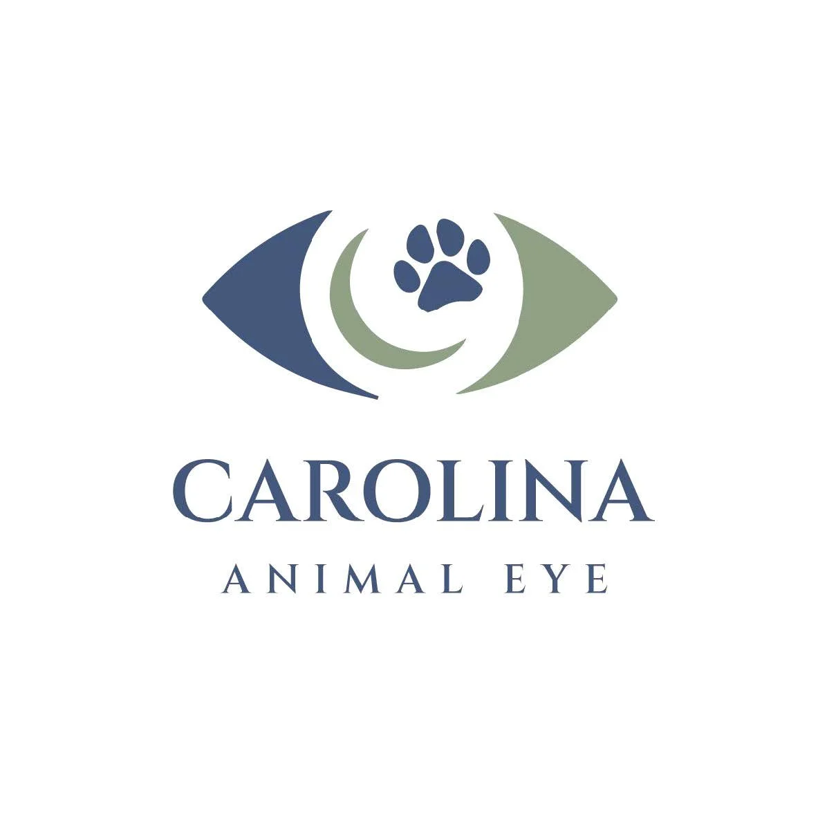 Veterinary Ophthalmologist, Carolina Animal Eye, Greenville, South Carolina 