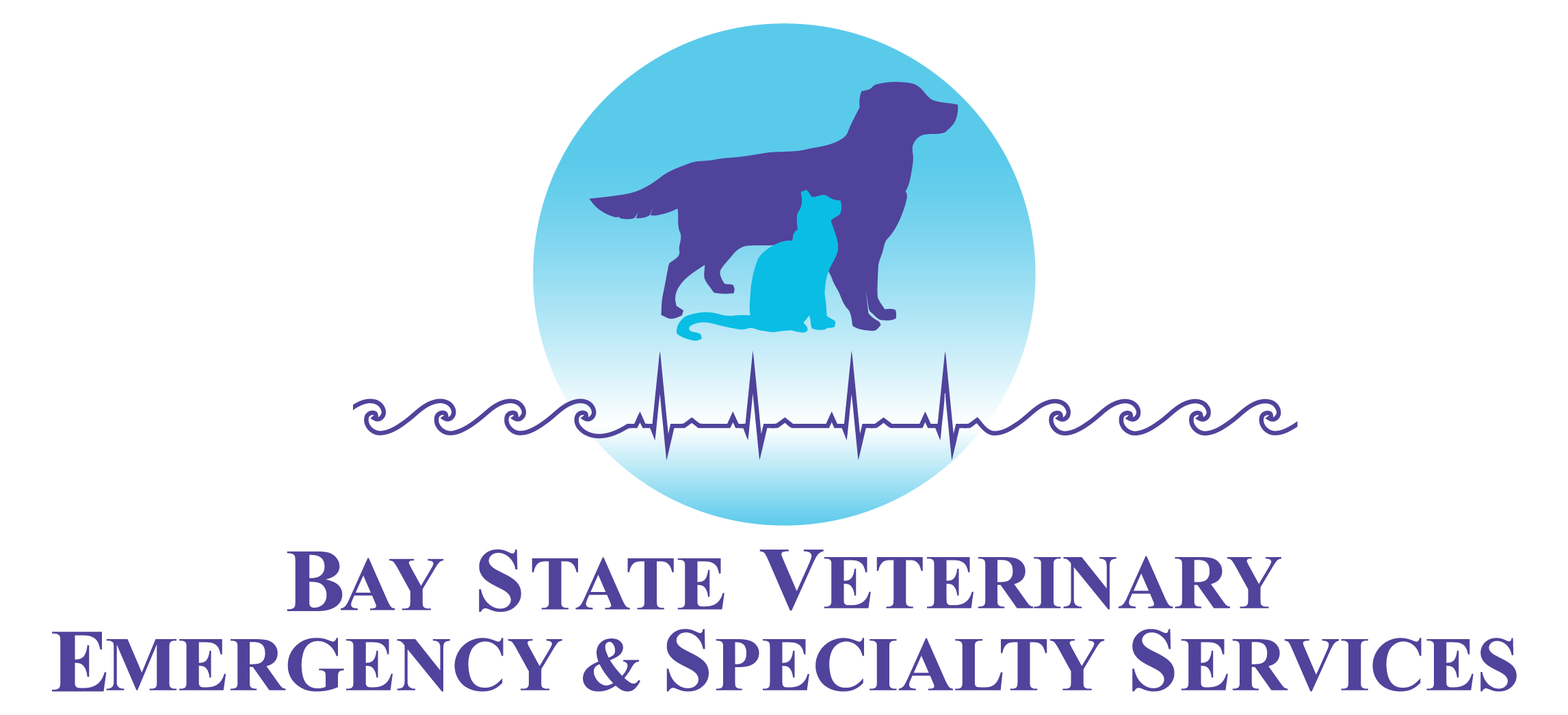 Veterinary Ophthalmologist, Bay State Veterinary Emergency and Specialty Services, Swansea, MA