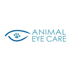 Veterinary Ophthalmologist, Animal Eye Care, Malvern East, Australia