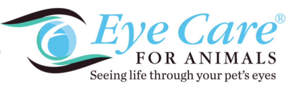 Veterinary&nbsp;Ophthalmologist, The Animal Eye Doctor, Beaverton, Oregon 