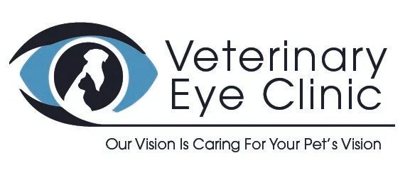 Ophthalmology Internship Program, Veterinary Eye Clinic, Southern CA