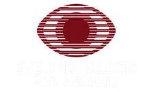 Board Certified Ophthalmologist or Residency Trained, Eye Specialists for Animals, Colorado Springs, CO
