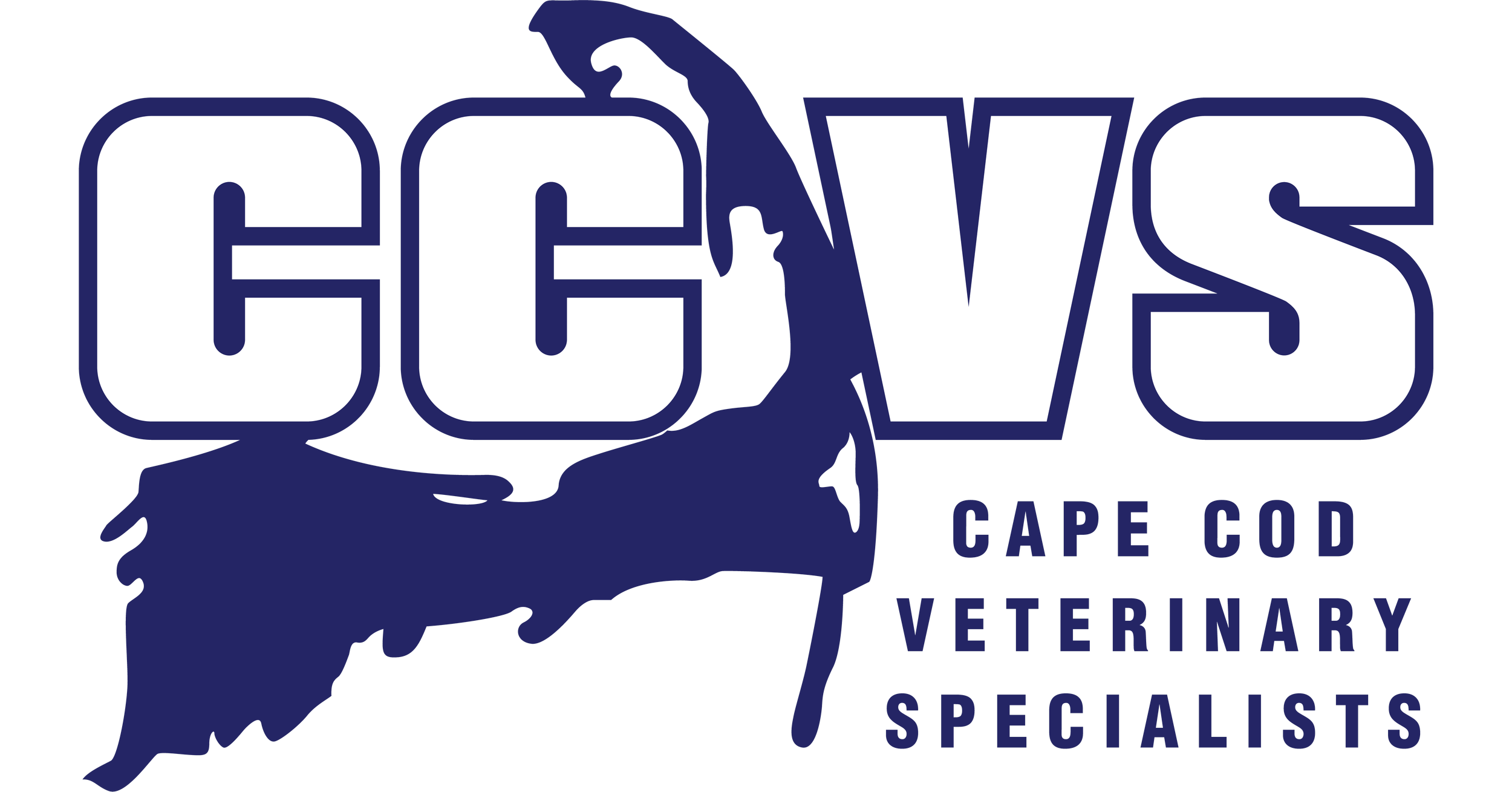 Board-certified Veterinary Ophthalmologist or Residency-trained Veterinarian, Cape Cod Veterinary Specialists, Buzzards Bay, MA