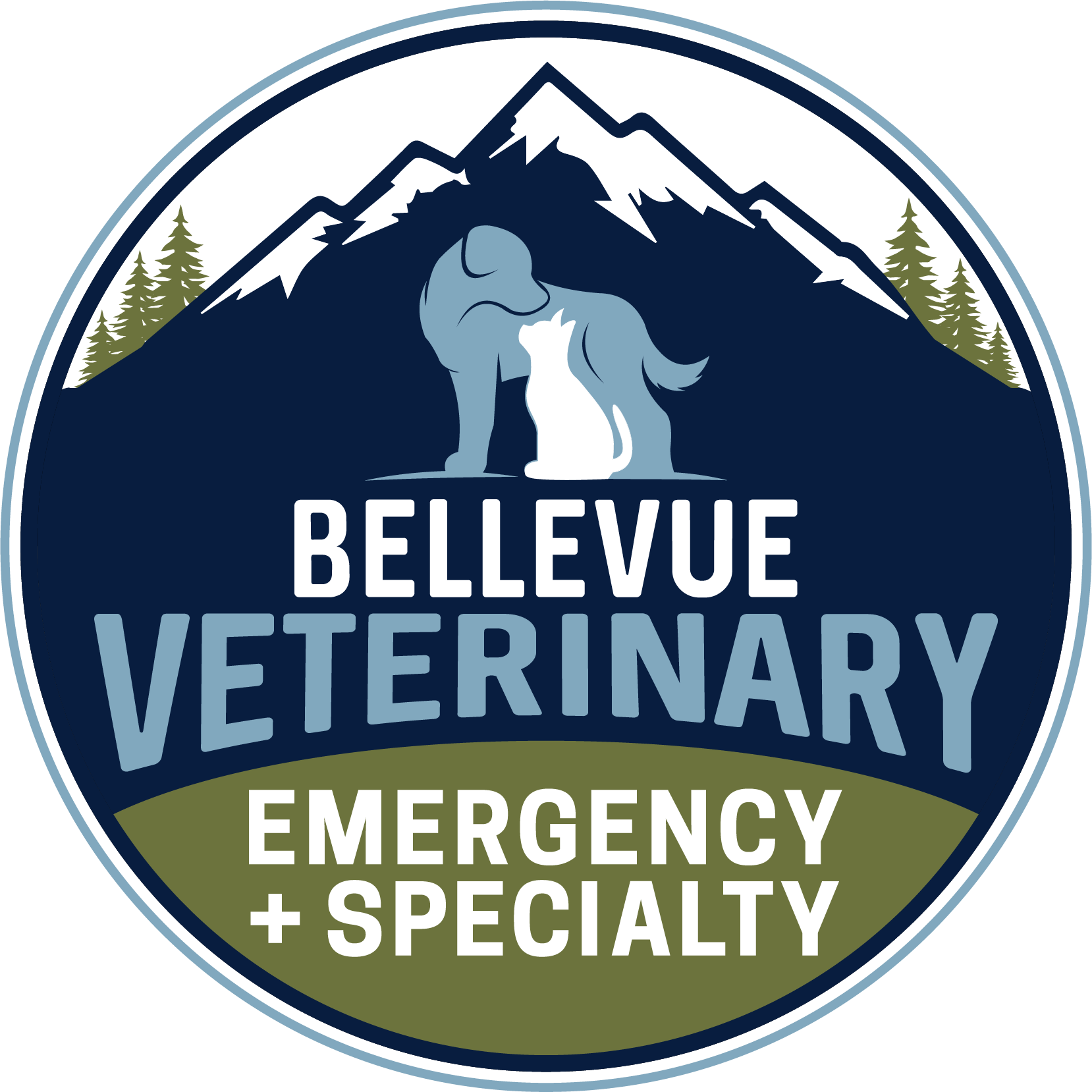 Ophthalmologist, Bellevue Emergency Veterinary &amp; Specialty, Bellevue, WA