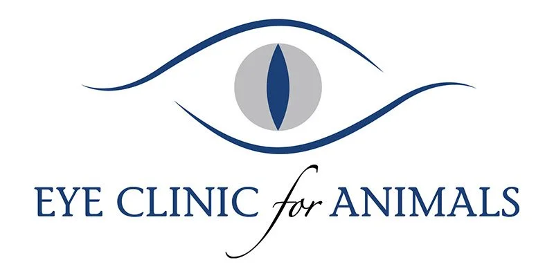 Veterinary Ophthalmologist, Eye Clinic for Animals, Sydney, Australia