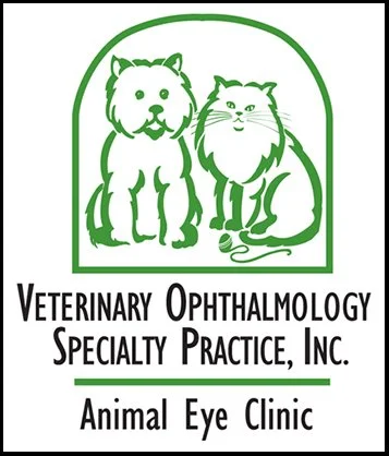 Veterinary Ophthalmologist, Veterinary Ophthalmology Specialty Practice, Inc., Minneapolis, MN