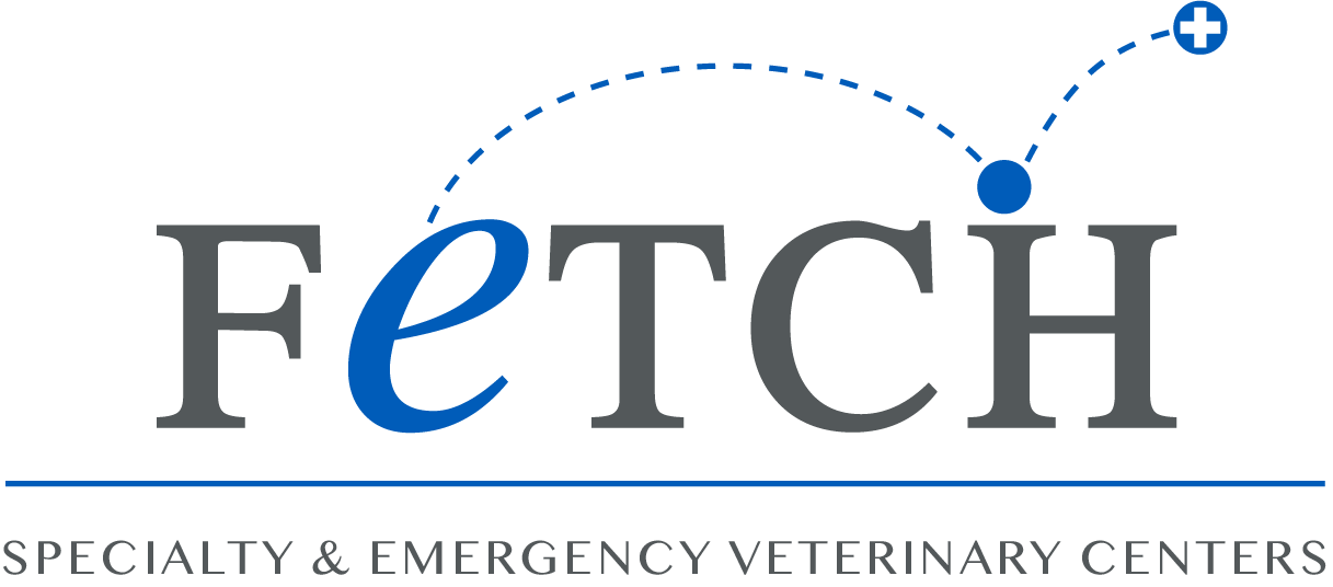 Board-Certified Veterinary Ophthalmologist, Fetch Specialty &amp; Emergency Veterinary Centers, Brandon, FL.