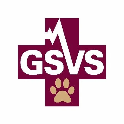 Board Certified or Residency Trained Ophthalmologist, Garden State Veterinary Services, East Brunswick