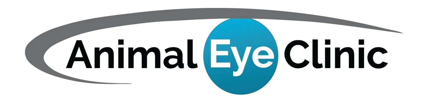 Ophthalmology Specialty Internship, Animal Eye Clinic, Charlotte, NC