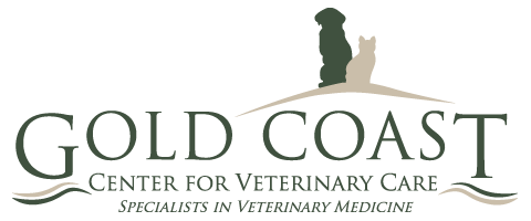 Ophthalmologist or Residency Trained Clinician, Gold Coast Center for Veterinary Care, Huntington, NY