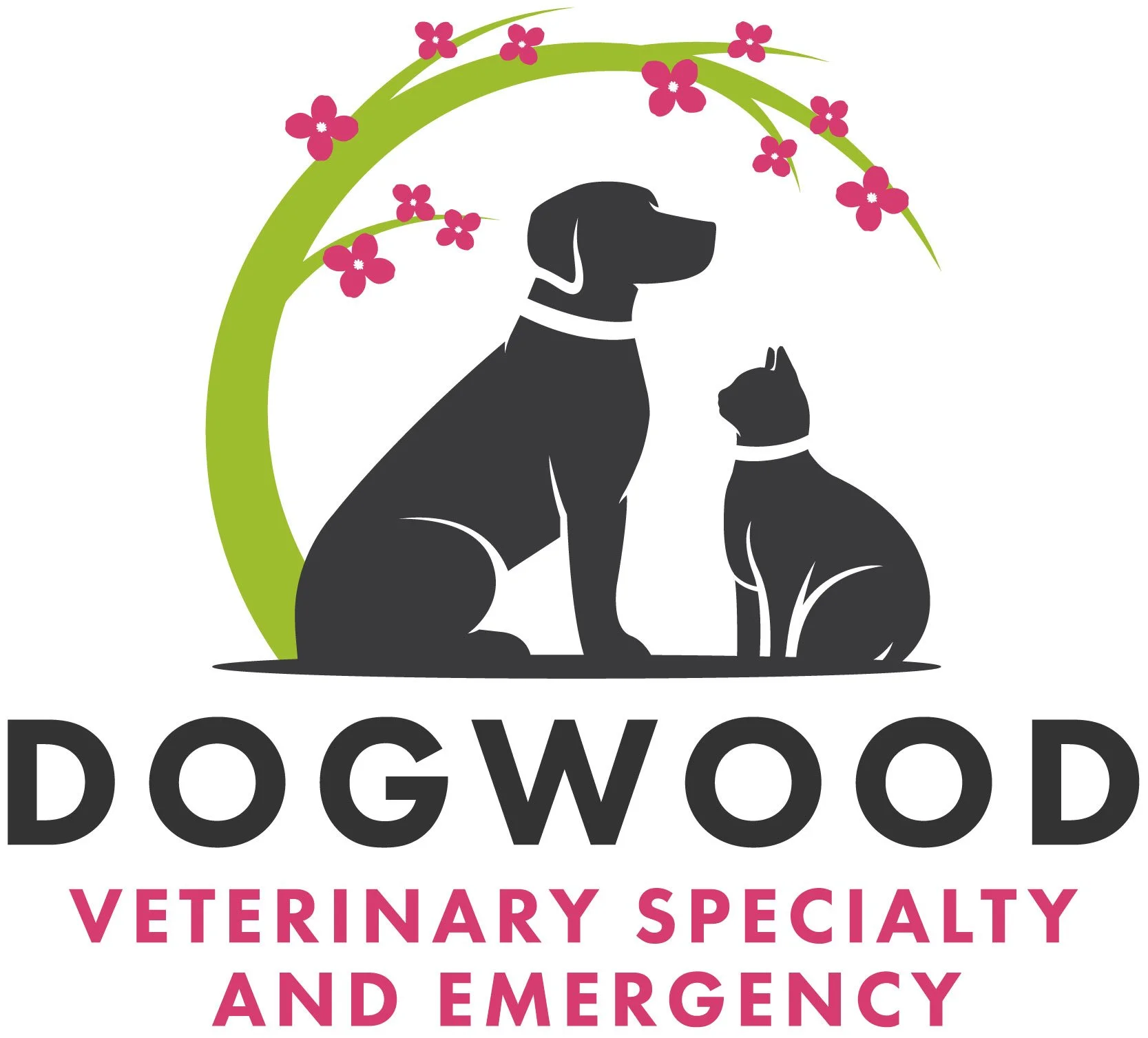 Veterinary Ophthalmologist, Dogwood Veterinary Specialty and Emergency, Metro Atlanta, GA 