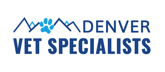 Veterinary Ophthalmologist, Denver Vet Specialists- Lowry, CO