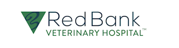 Veterinary Ophthalmologist, Red Bank Veterinary Hospital, Hillsborough, NJ 