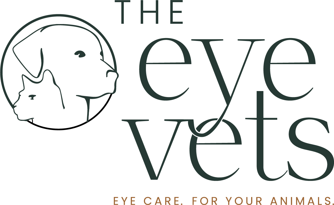 Veterinary Ophthalmologist, The Eye Vets, Nashville, TN