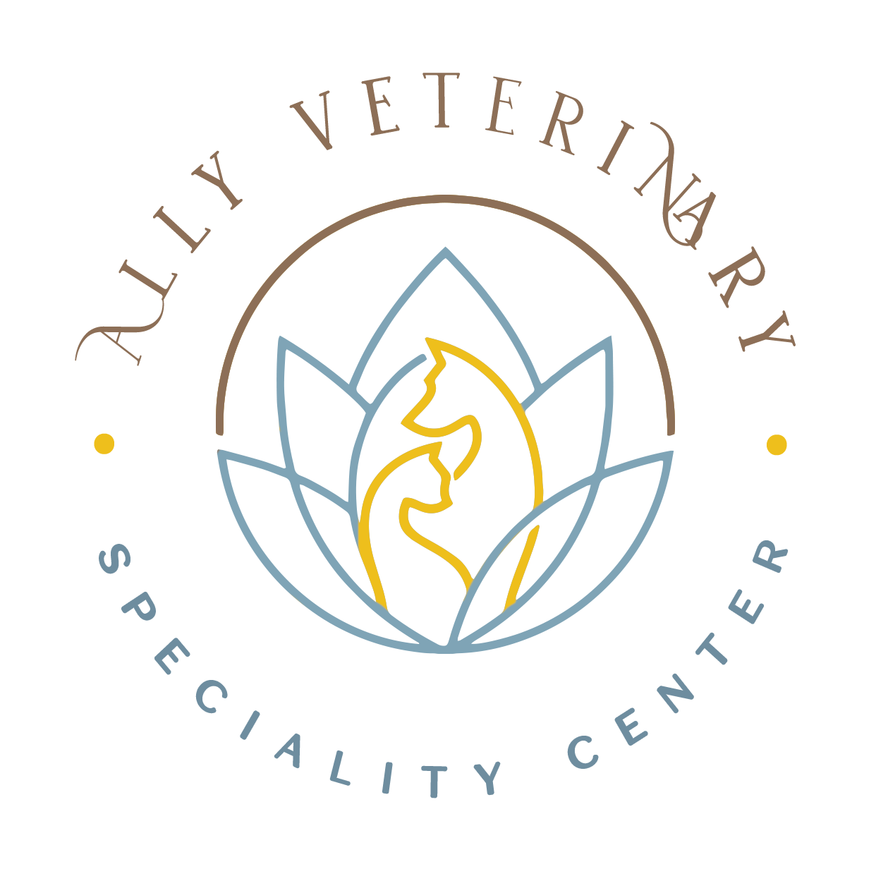 Veterinary Ophthalmologist, Ally Veterinary Specialty Center, Lincoln, MA