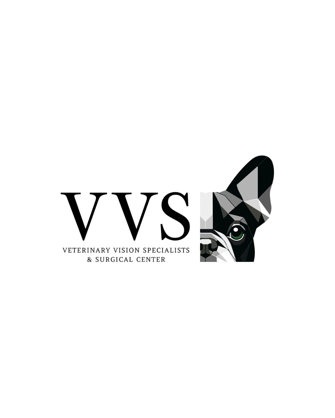 Veterinary Ophthalmologist (DACVO or Board-Eligible), Veterinary Vision Specialists (VVS),  Richmond, VA